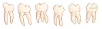 a gif divider of a set of teeth